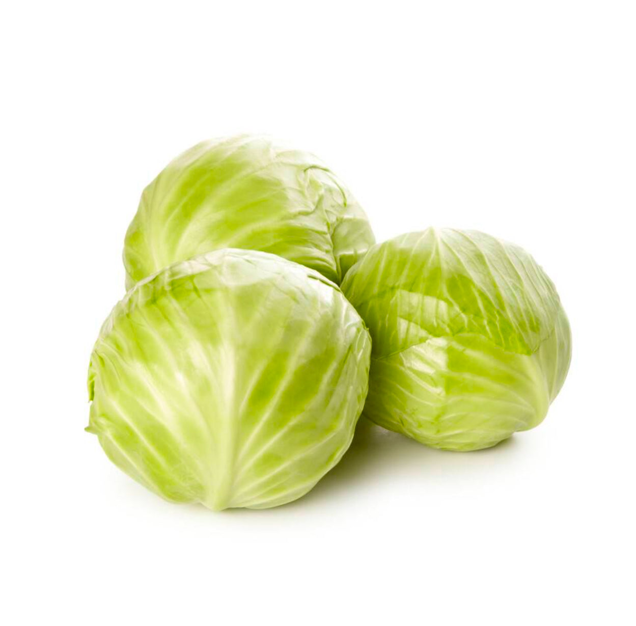 Cabbage Plain  Whole - Half