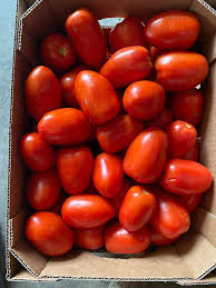 Roma Tomato Box 10kg