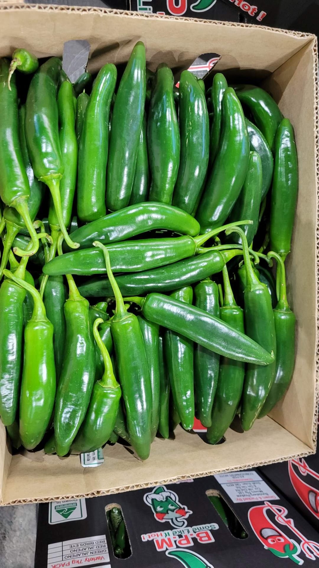 Long Green Chillies 500 grams - 1kg