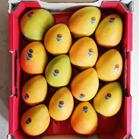 Mango Premium KP Tray