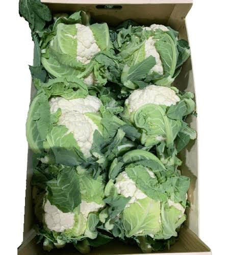 Cauliflower Box 10pcs