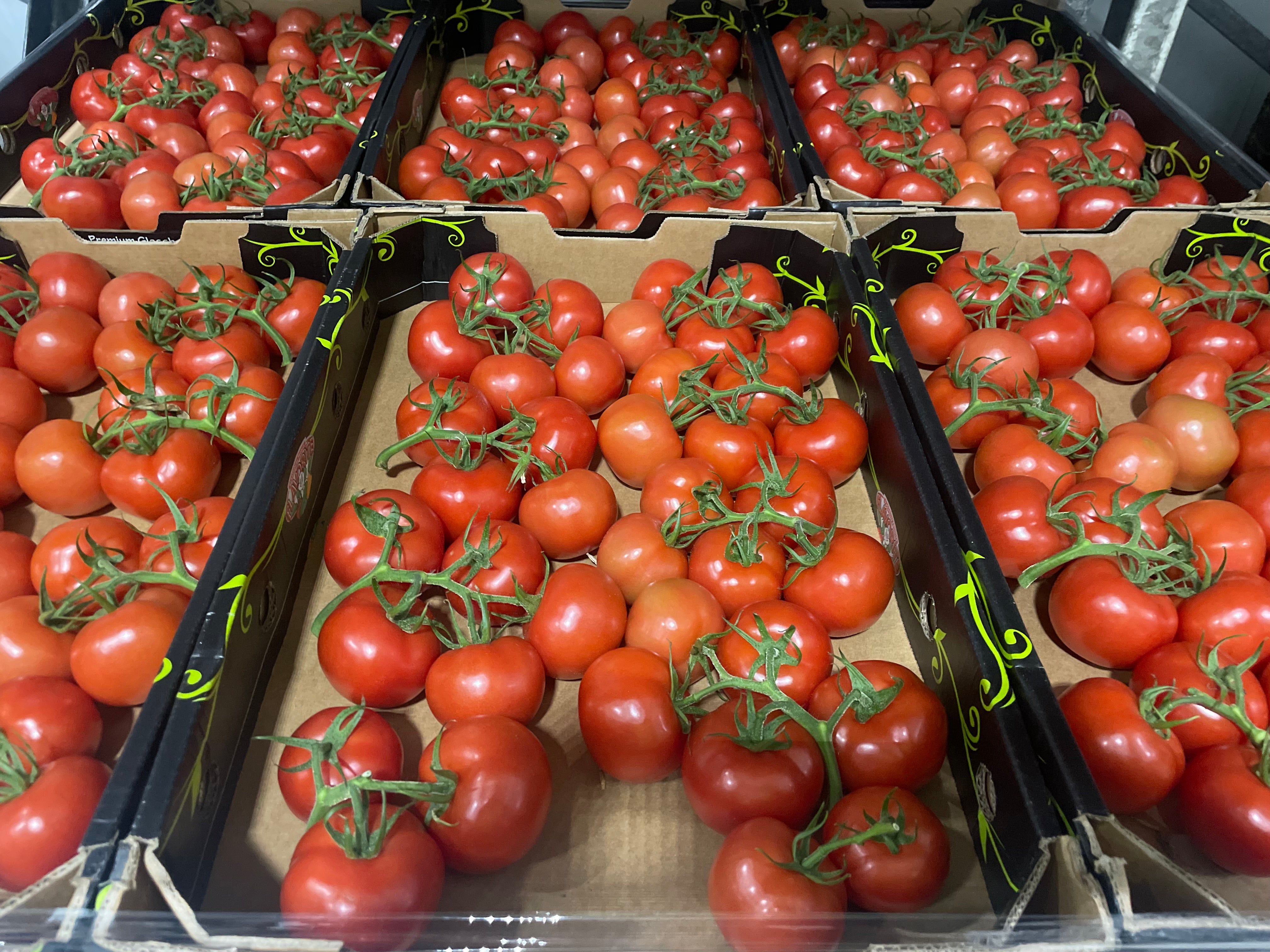 Truss Tomato Tray 5kg