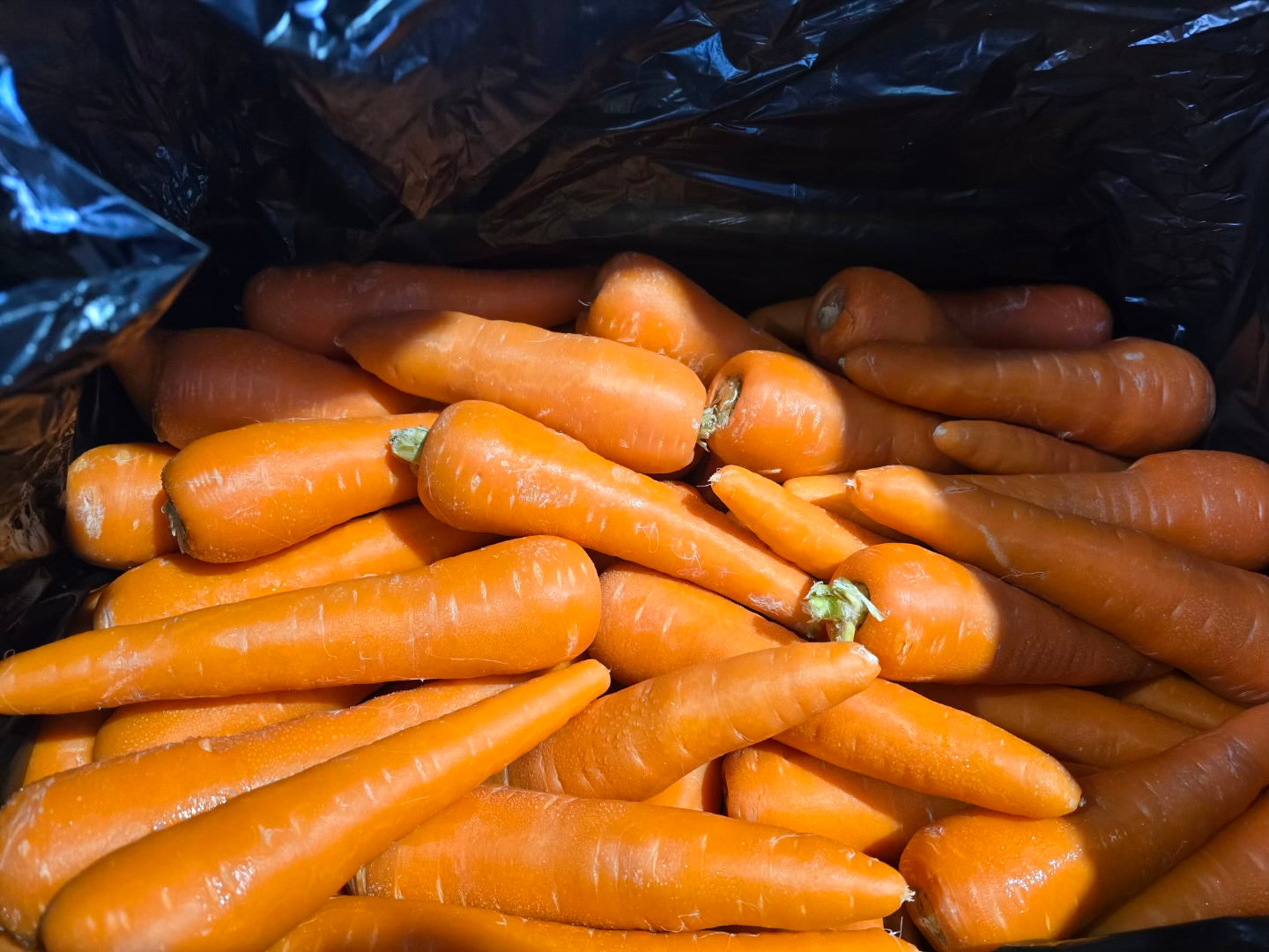 Juicing Carrot Bag 15kg