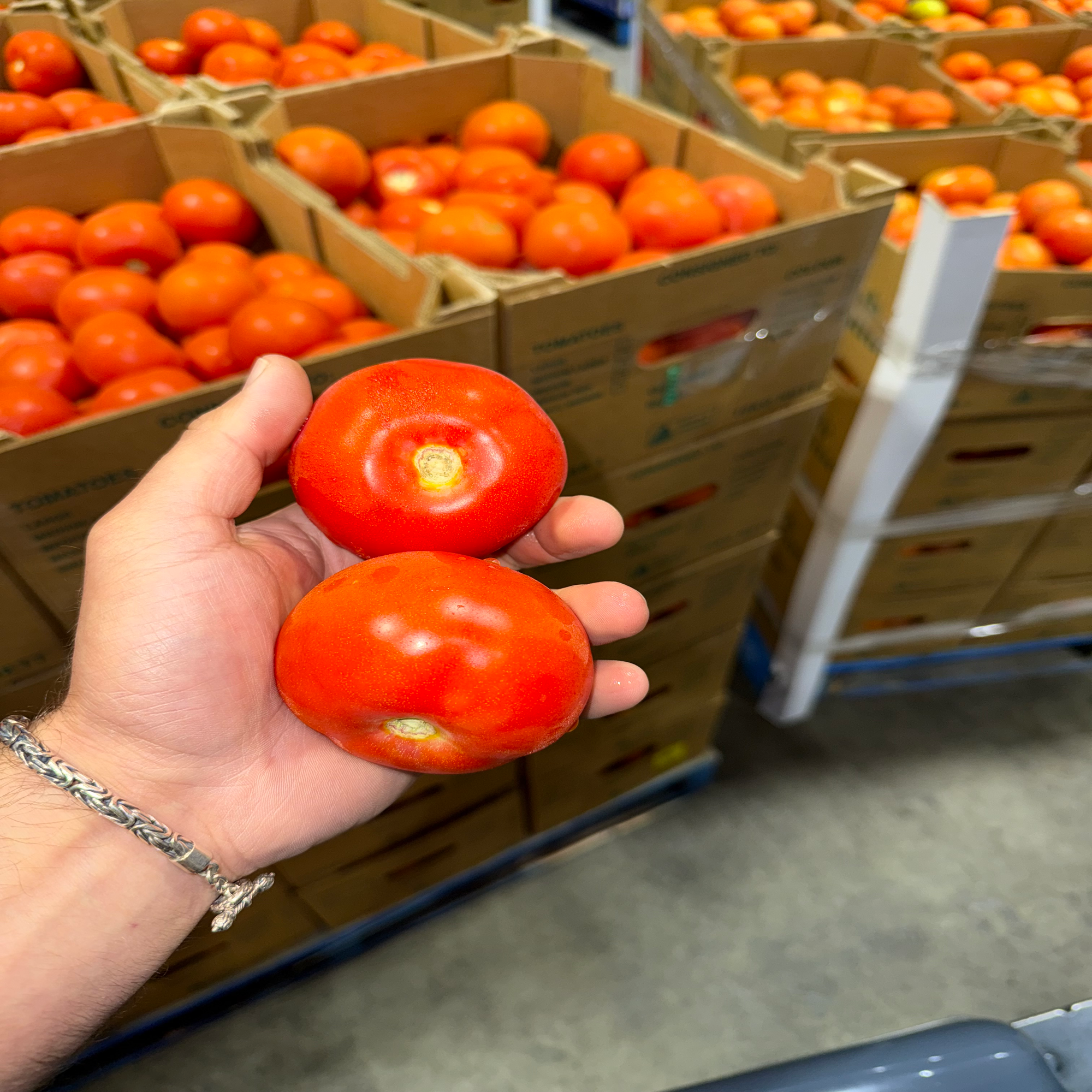 Tomato Cheap Box for Cooking 10kg