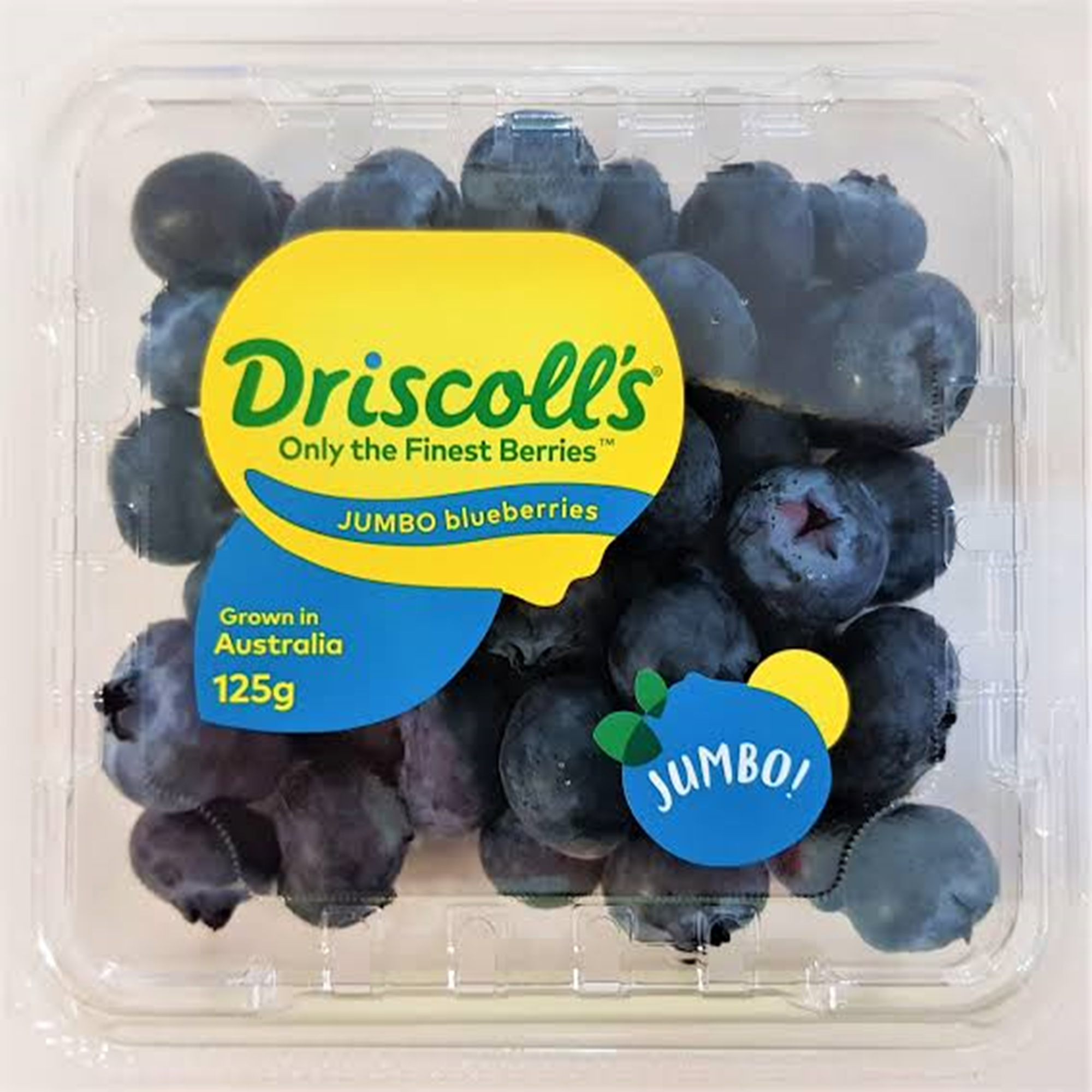 Jumbo Blueberry Discroll's Premium