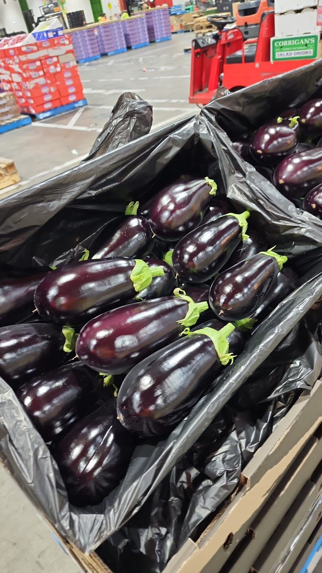 Eggplant Tray 7kg