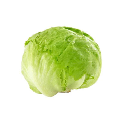 Lettuce Iceberg Each