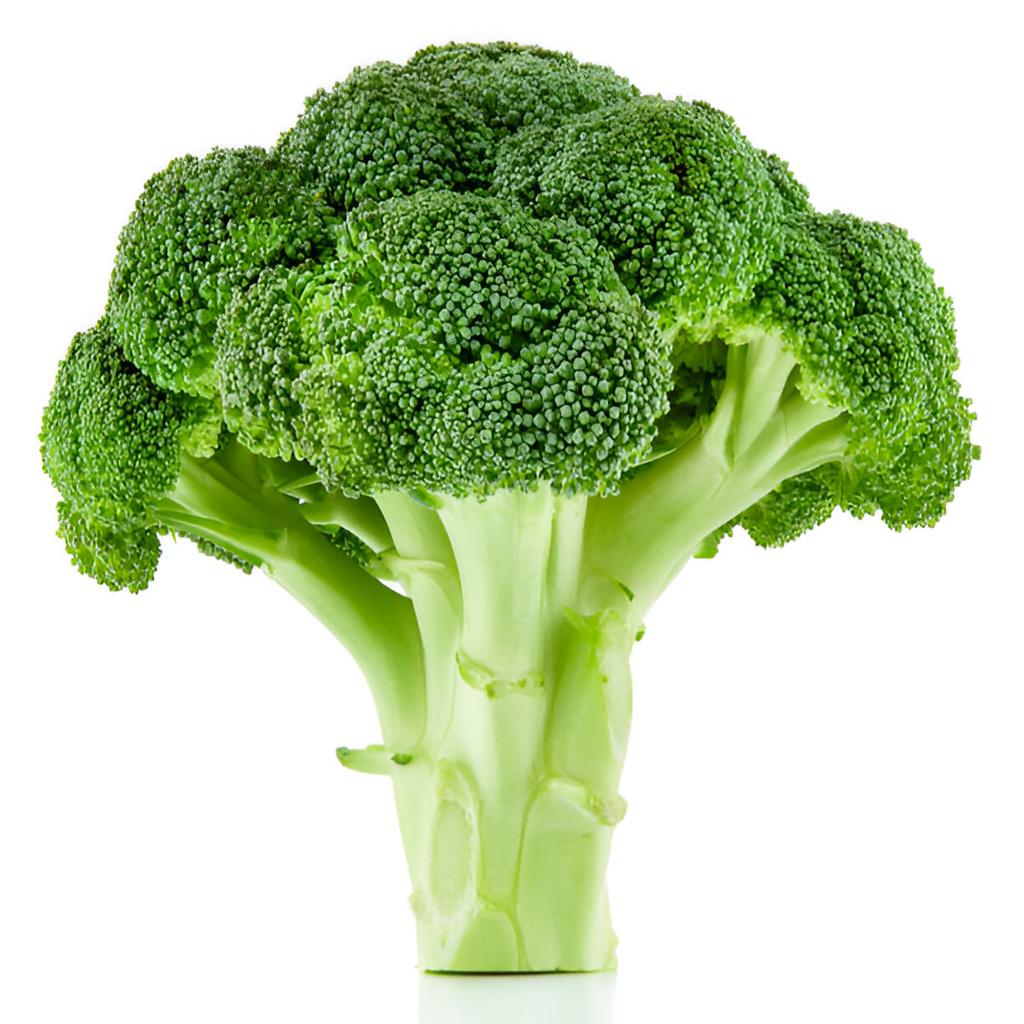 BroccoliHead Each