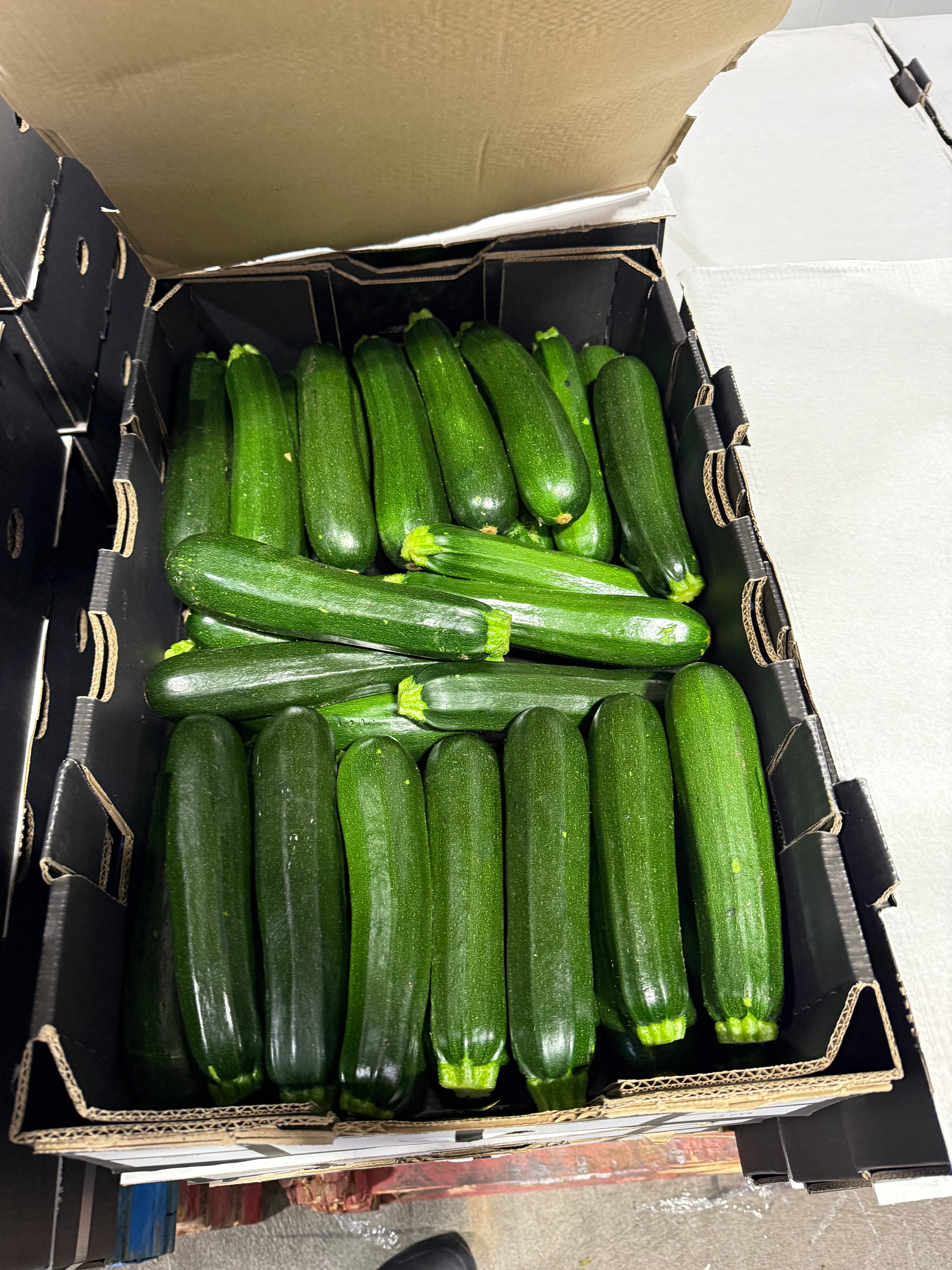 Zuccini Green Each - KG