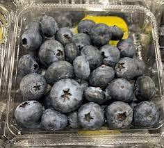 Blueberry Pnt