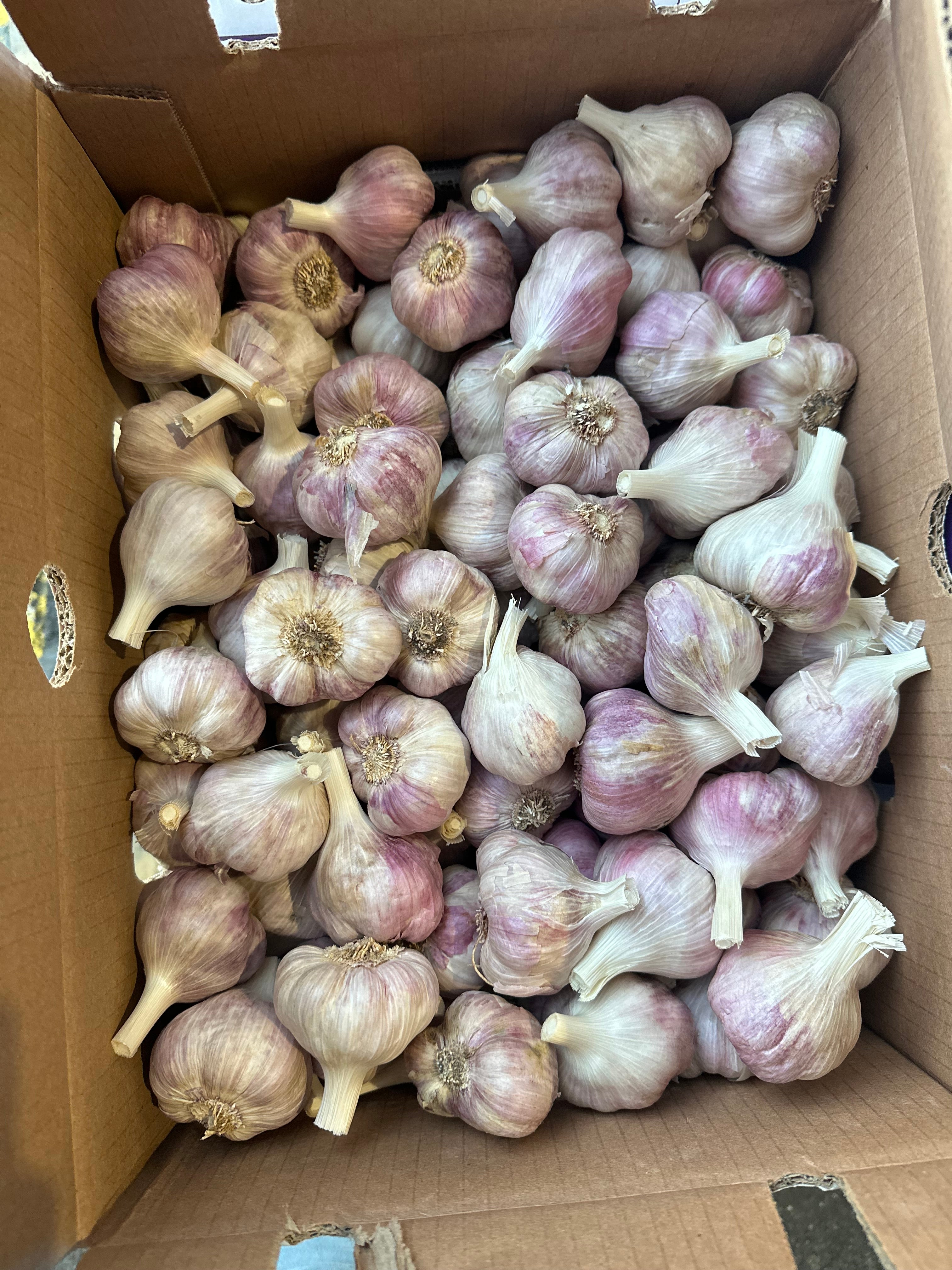 Loose Garlic 100 , 200 , 500 grams & 1KG