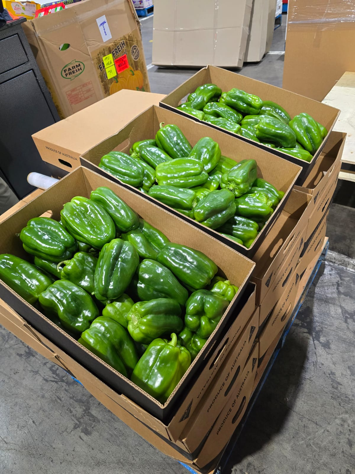 Green Capsicum Box 10kg