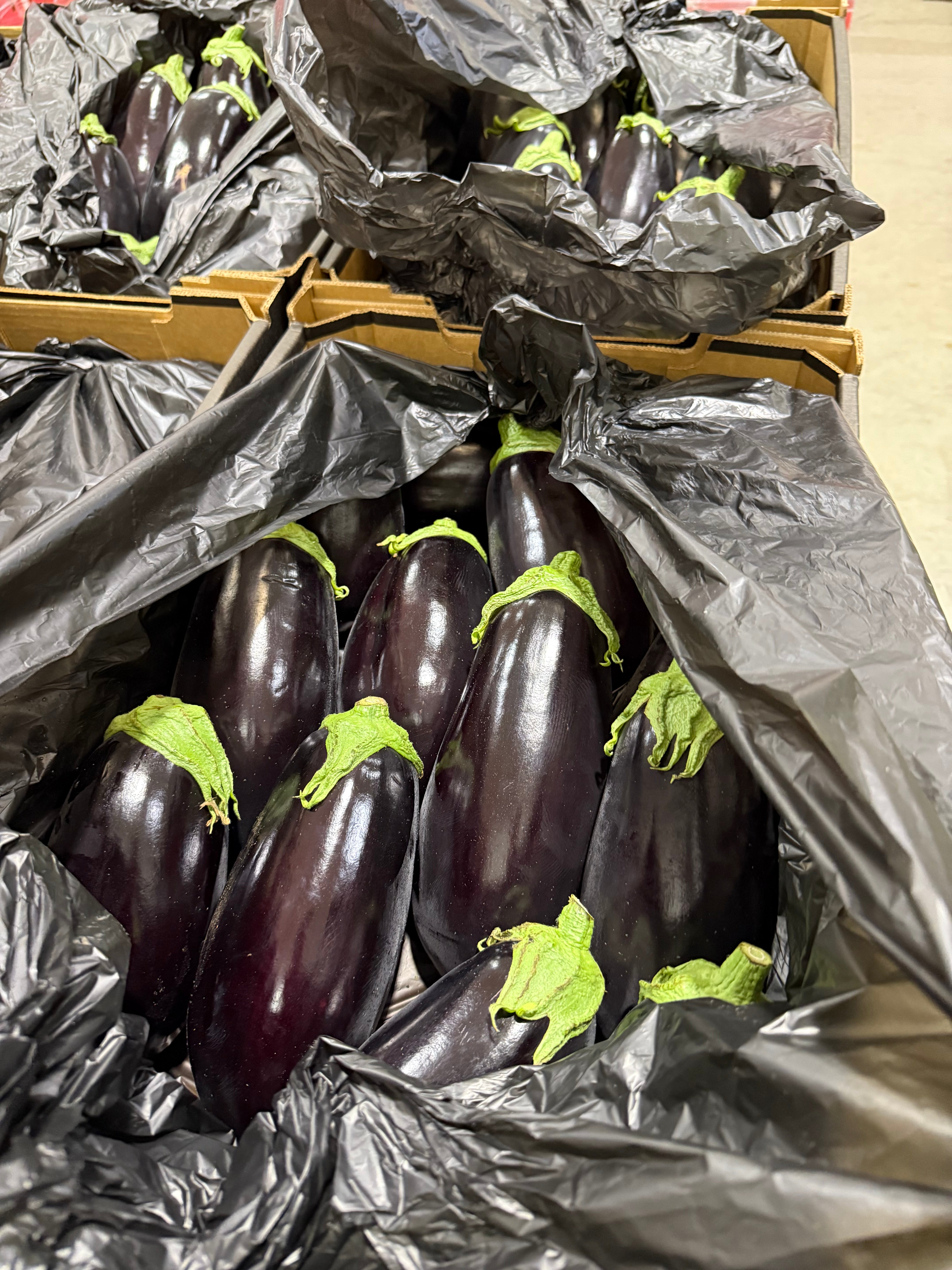 Eggplant Each- KG