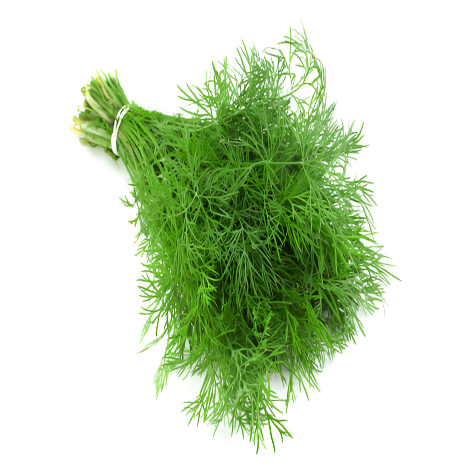 Dill Each