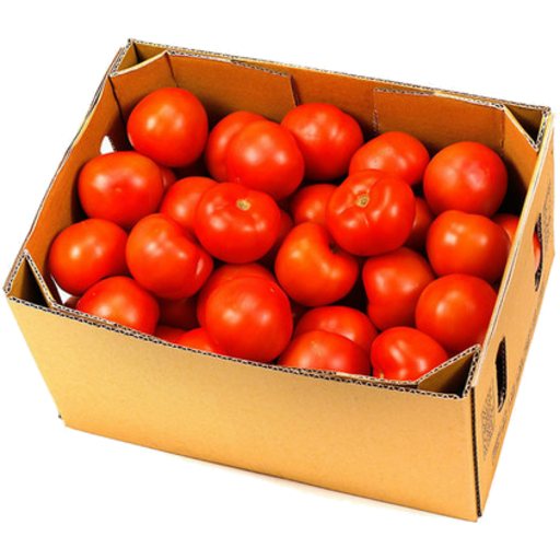 Tomato Firm Qulity box 10kg