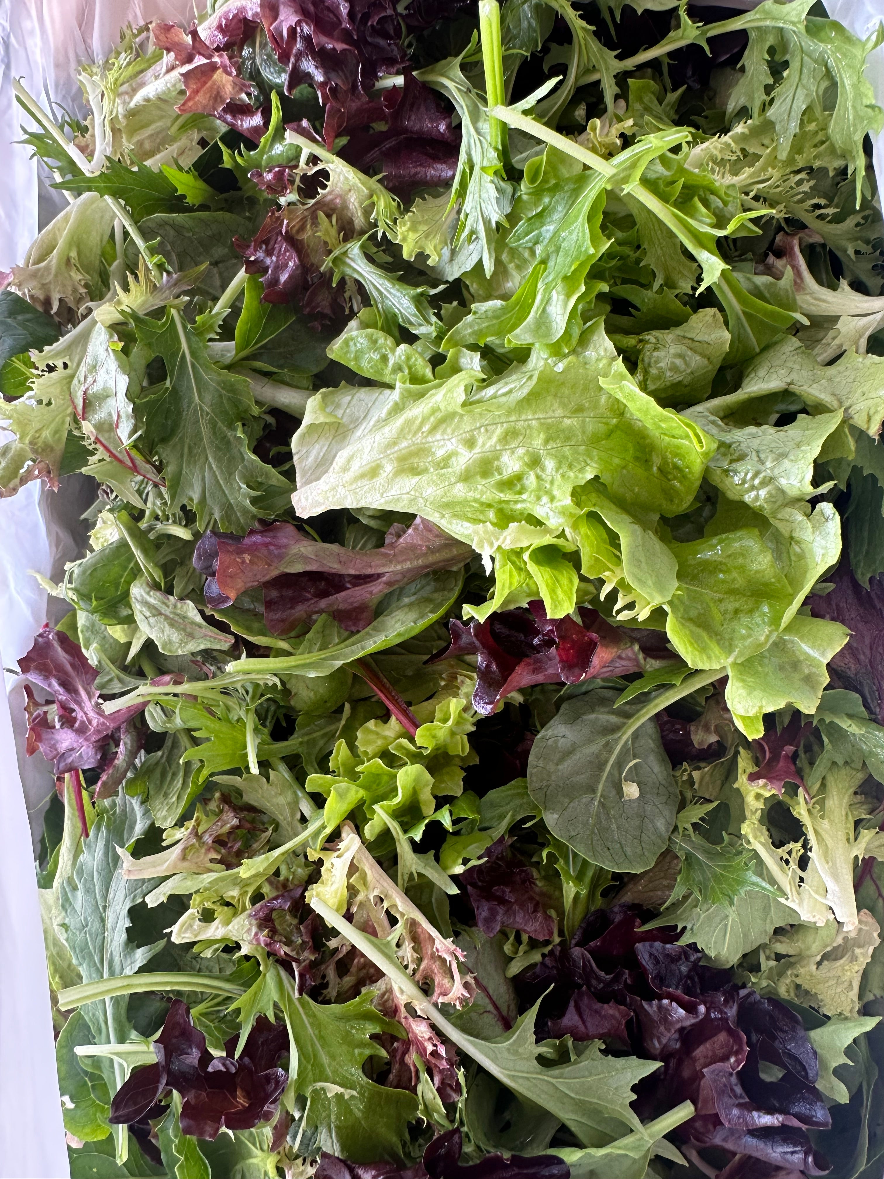 Salad mix box 1.5kg