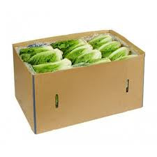 Cos Lettuce Box