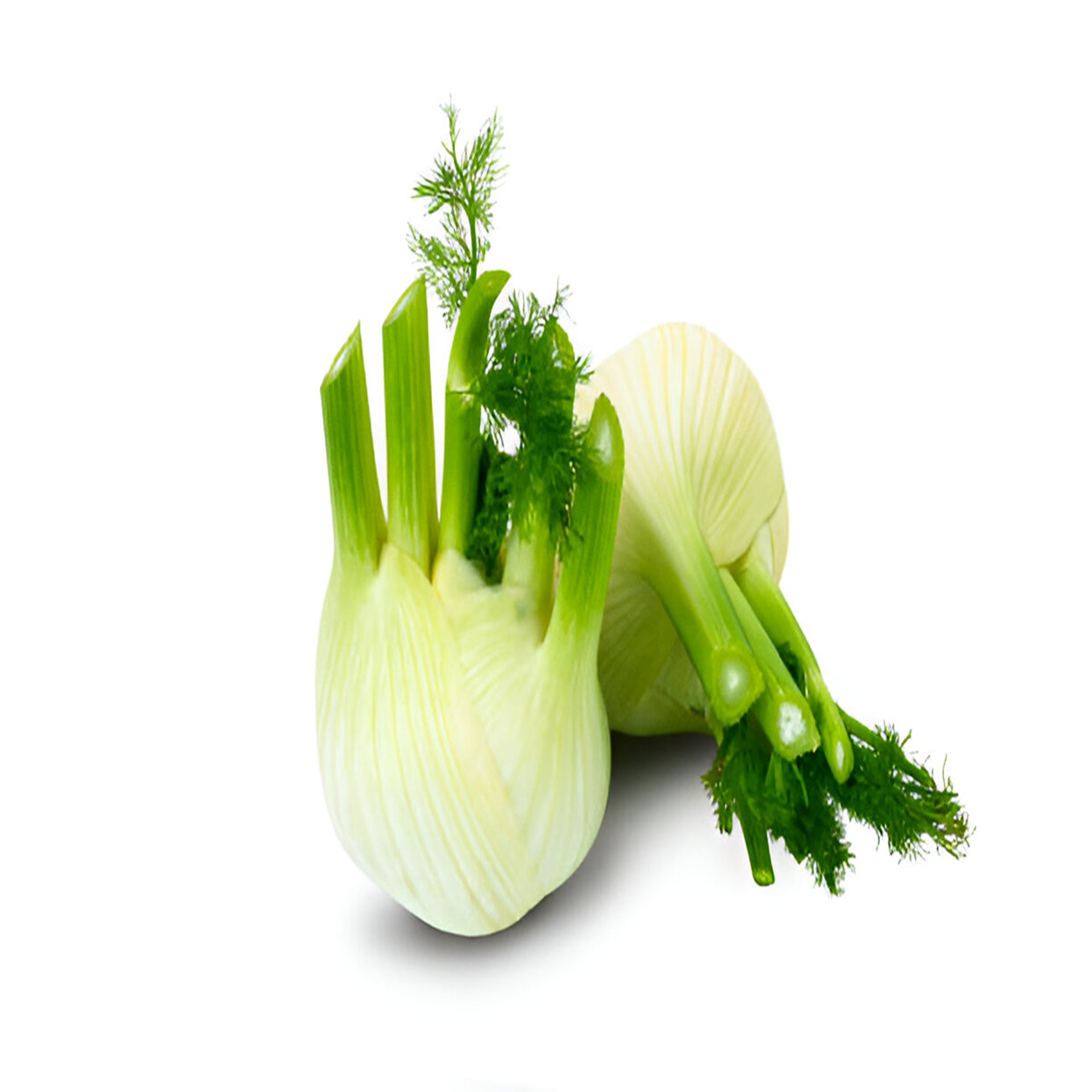 Fennel Each