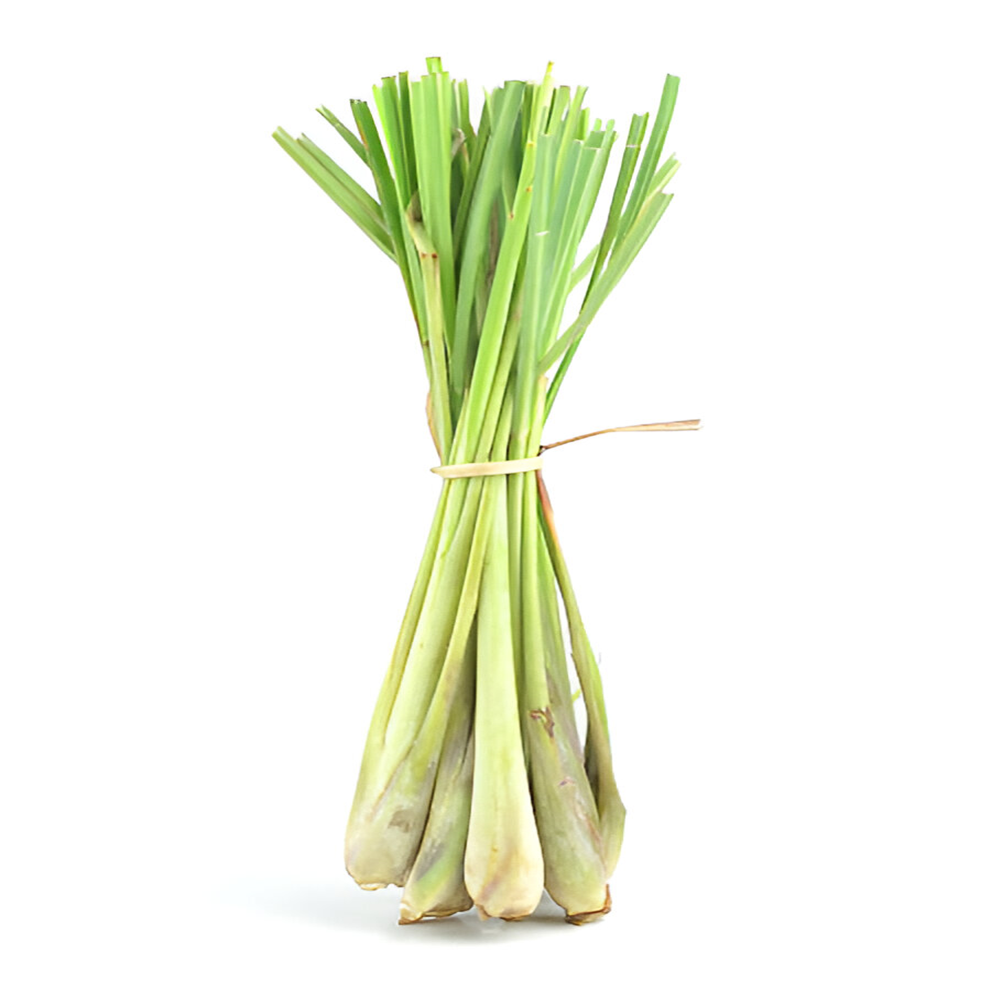 Lemon Grass