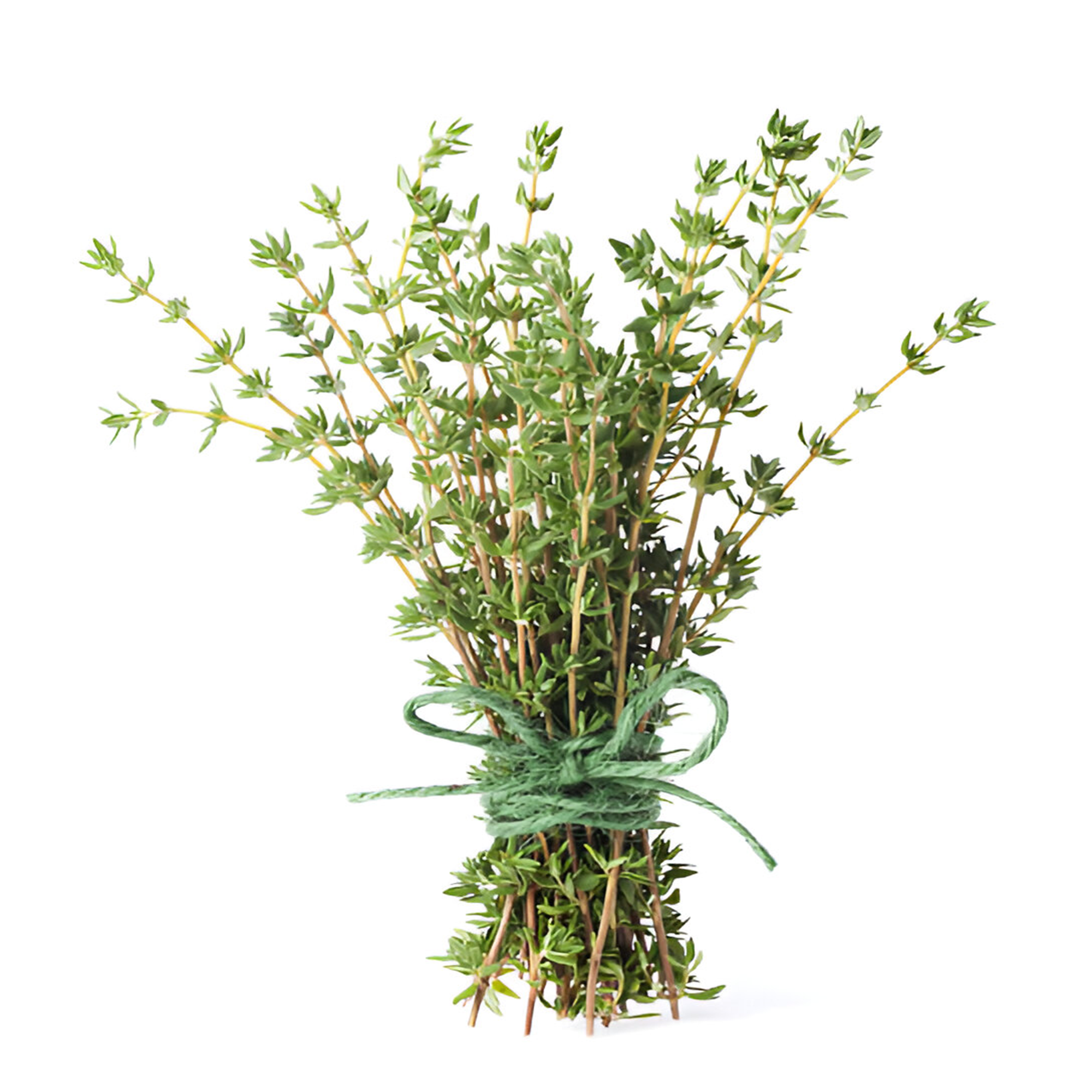 Thyme