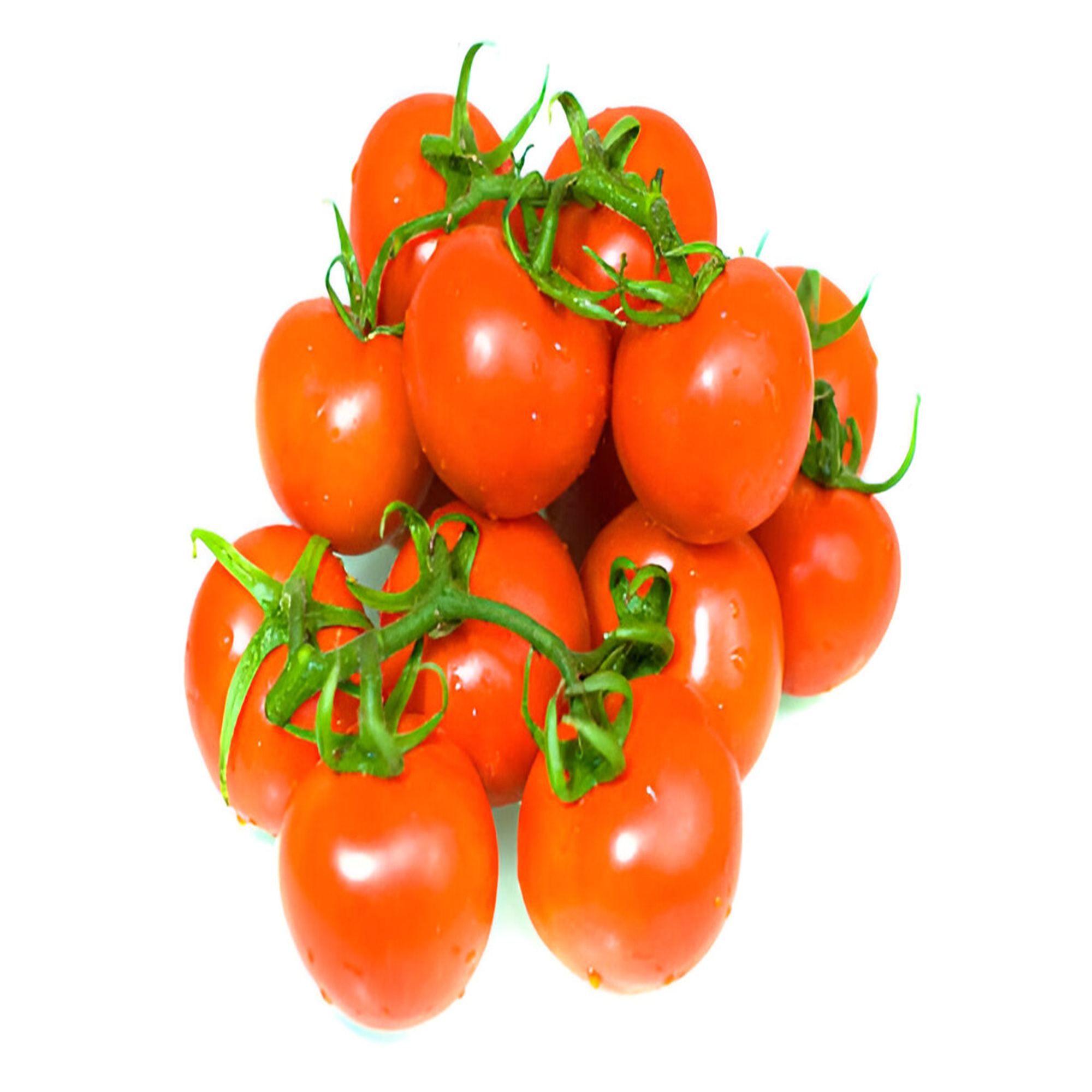 Truss Tomato EA - KG